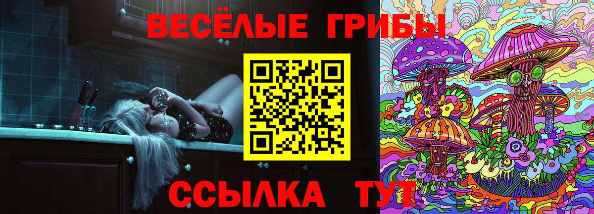 Куйбышев  Псилоцибиновые грибы Psilocybine cubensis  Вход с VPN 
